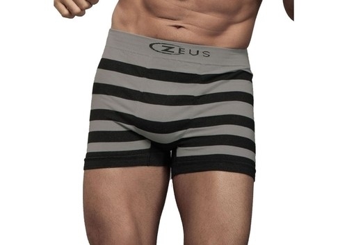 Cueca Boxer Listrada Ultraleve Zeus Cinza 98310 Em Microfibra Elástica