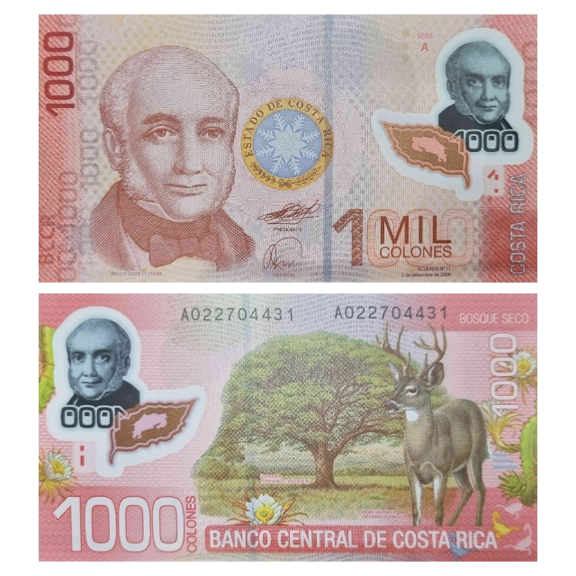 KM274 Polímero. Costa Rica 1 Mil Colones FE. CE20